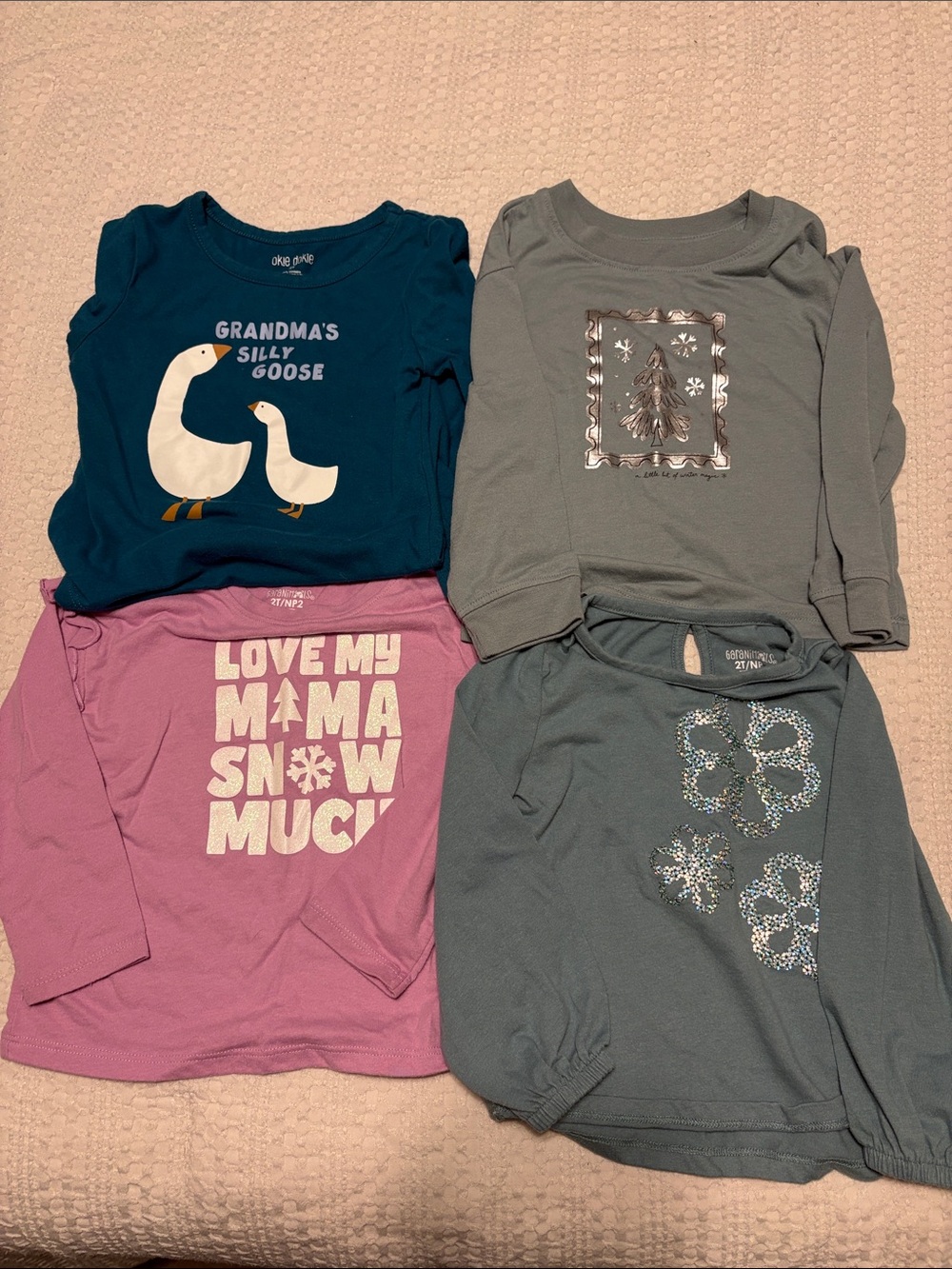 Bundle of Long Sleeve Toddler Tees
